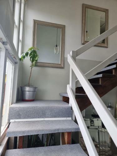 Apartamento Casa Amarilla