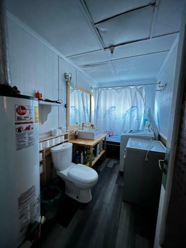 Bed & Breakfast Isla Yu Patagonia 2