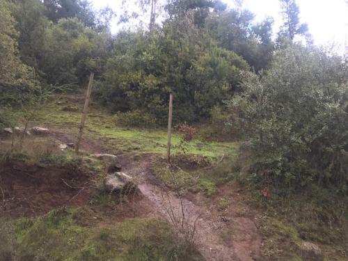 Caba�as Entre Monta�as