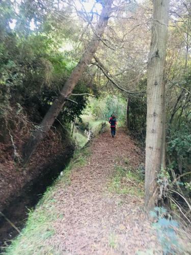 Caba�as Entre Monta�as