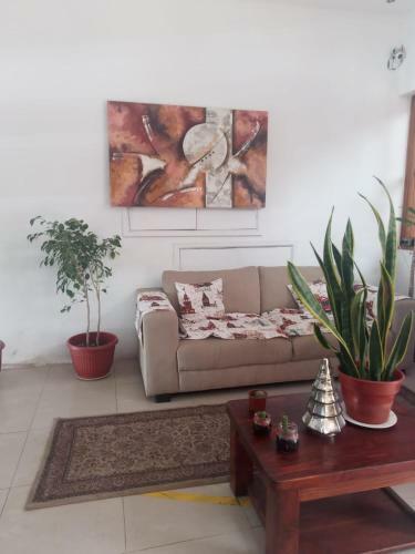 Hotel Palermo Quintero