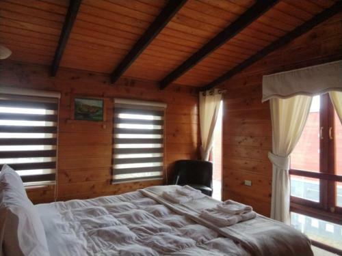 Hotel Hostal Caulle