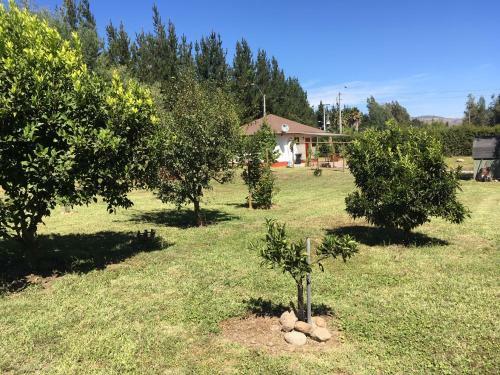 Los Pinos De Quilvo