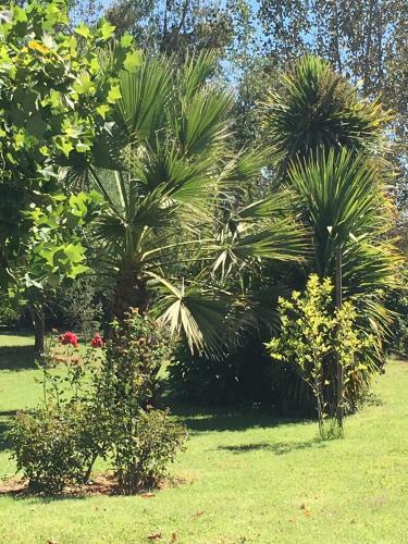 Los Pinos De Quilvo