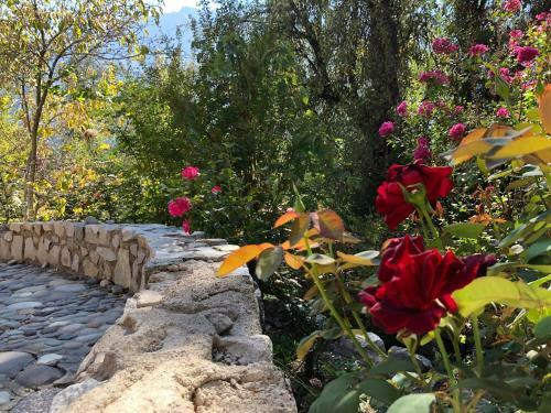 Casa de Monta�a Inmersa En Bosque Nativo