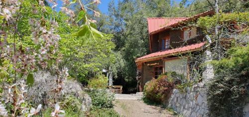 Casa de Monta�a Inmersa En Bosque Nativo