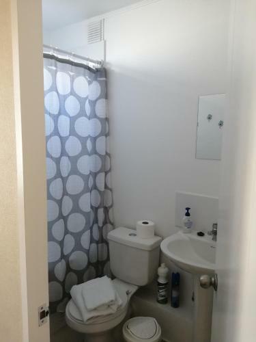 Apartamento Departamento Amoblado Frente A Universidad de Talca.