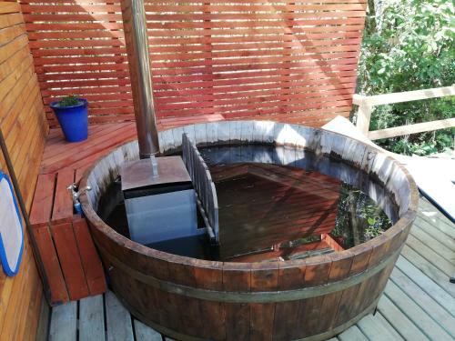 Apartamento El Boldo Magico
