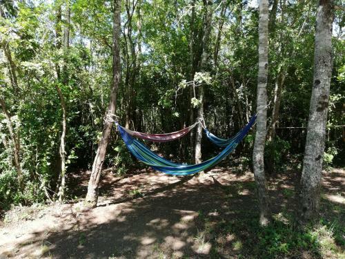 Apartamento El Boldo Magico