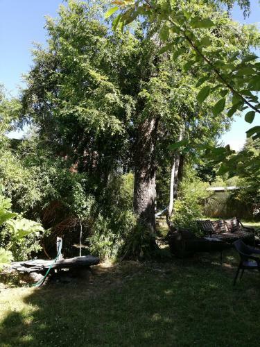 Apartamento El Boldo Magico