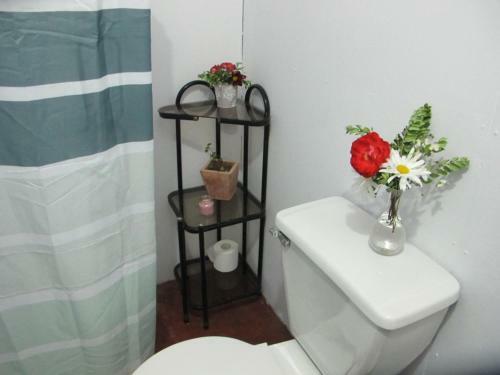 Habitaciones Centro Puc�n