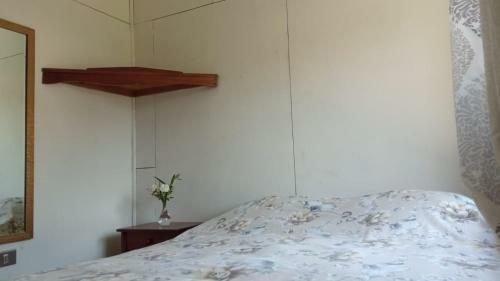 Habitaciones Centro Puc�n