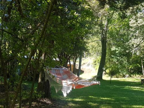 Molcohouse Pucon
