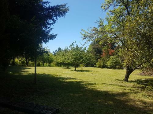Molcohouse Pucon