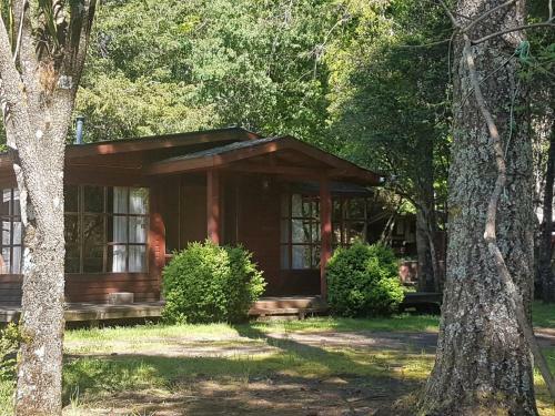 Molcohouse Pucon