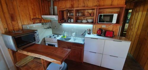 Molcohouse Pucon