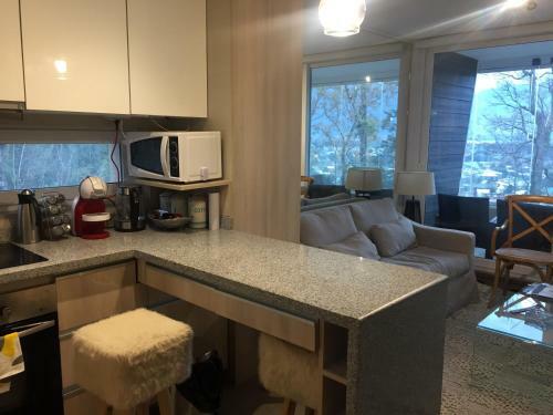 Apartamento Pucon Alta Vista