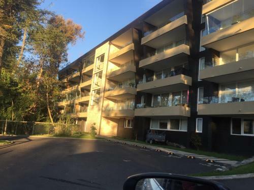 Apartamento Pucon Alta Vista