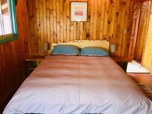 Hostal Hostel Ra�z