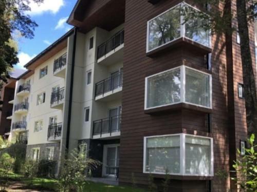 Apartamento Puc�n, Todo El A�o