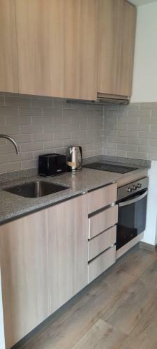 Apartamento Studio 403b Puc�n