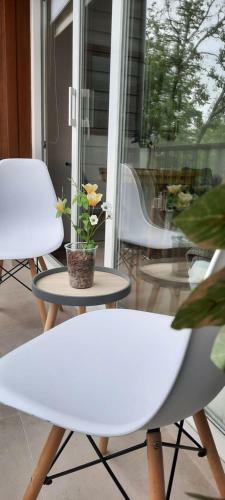 Apartamento Studio 403b Puc�n
