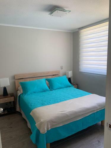 Apartamento Depto En Puc�n