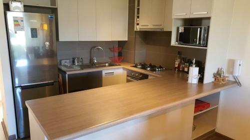 Apartamento Departamento Costa Puc�n