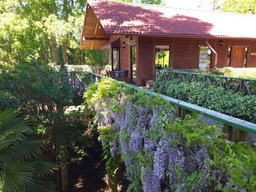Mujer R�o Bed And Breakfast