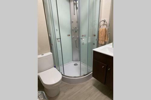 Apartamento Departamento Nuevo Condominio Cerca Centro Puc�n