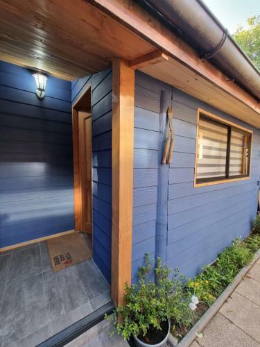 Hostal Blue House Departamento - Caba�a - Casa