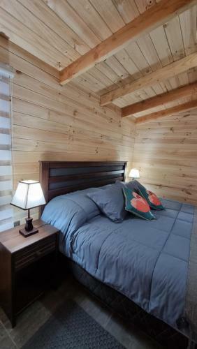 Hostal Blue House Departamento - Caba�a - Casa