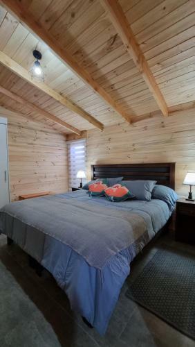 Hostal Blue House Departamento - Caba�a - Casa