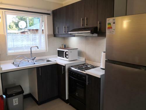 Apartamento Departamento Puc�n Nativo