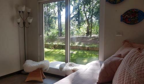 Apartamento Departamento En Pucon Camino Al Volcan