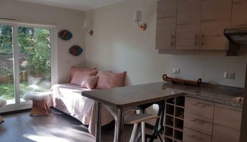 Apartamento Departamento En Pucon Camino Al Volcan