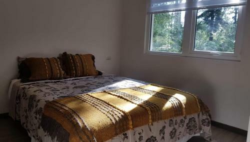 Apartamento Departamento En Pucon Camino Al Volcan