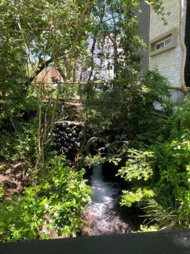 Apartamento Departamento Pucon 2 Habitaciones 2 Ba�os