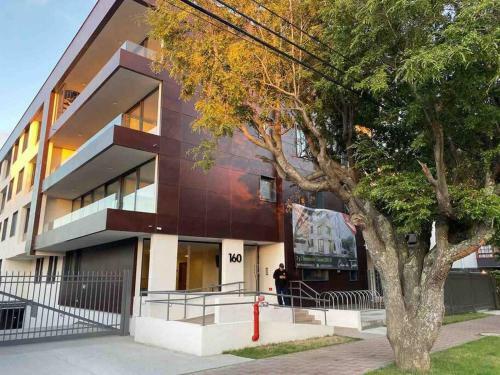 Pewen Apart Hotel Puc�n 5