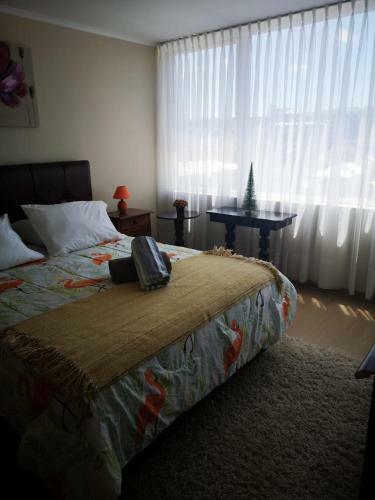 Apartamento Depto 1 Dormitorio Centro Blanco 702