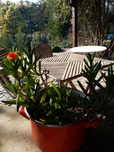 Apartamento Casa La P�rgola