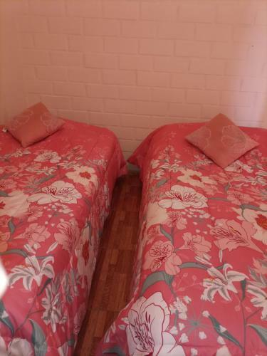 Apartamento Caba�a Vicu�a