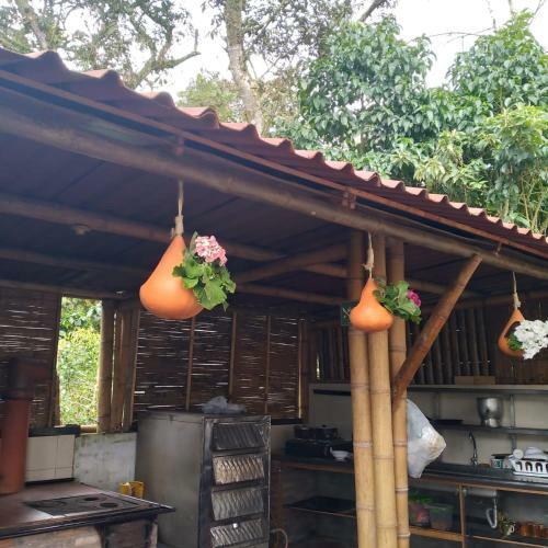 El Refugio Del Oso De Anteojos