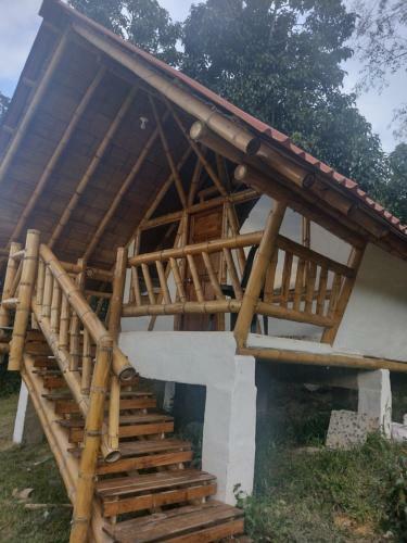 El Refugio Del Oso De Anteojos