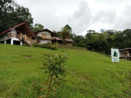 El Refugio Del Oso De Anteojos
