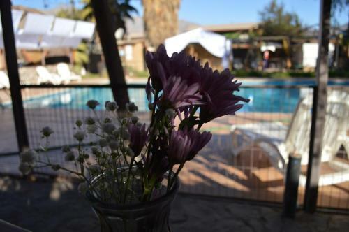 Hotel Observatorio