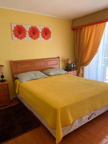 Apartamento Grandioso Depto Con Piscina En Algarrobo