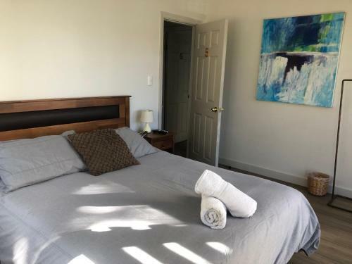 Bed & Breakfast Hostal Ankatu