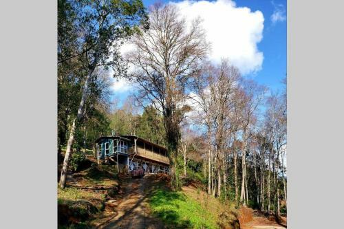 Apartamento La Casa En El Bosque Con Vista Al R�o