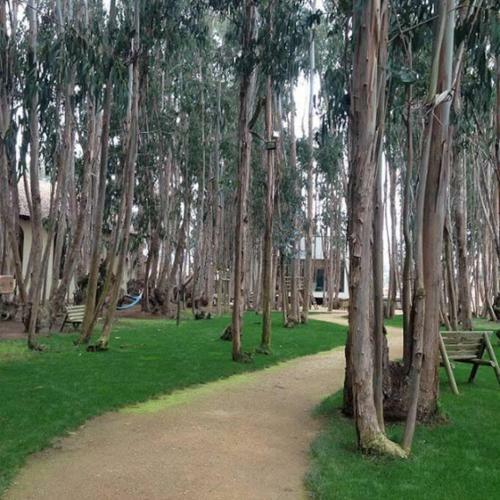 Apartamento Costa Algarrobo